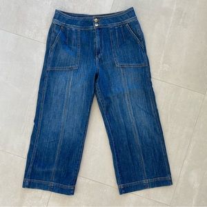 Anthropologie Pilcro & Letterpress Denim 31